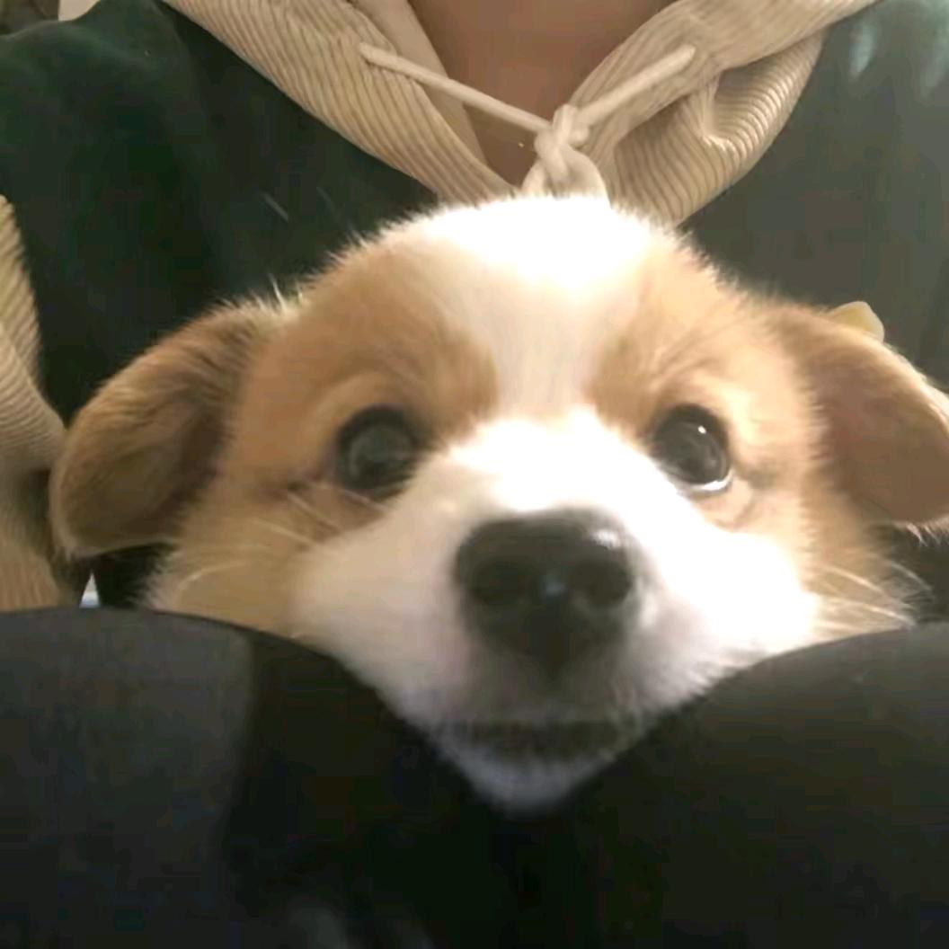 小王睡不醒