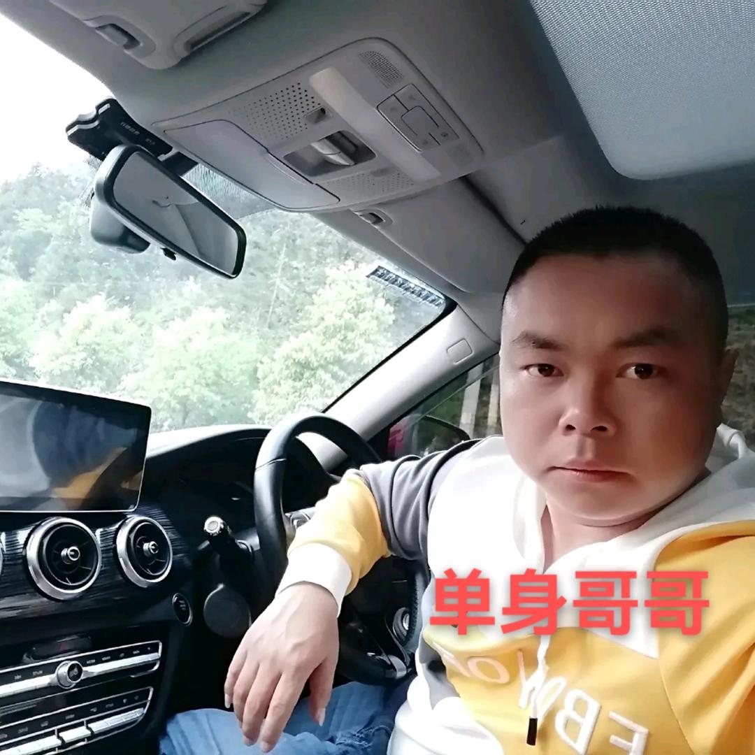 旅游顾问一日游