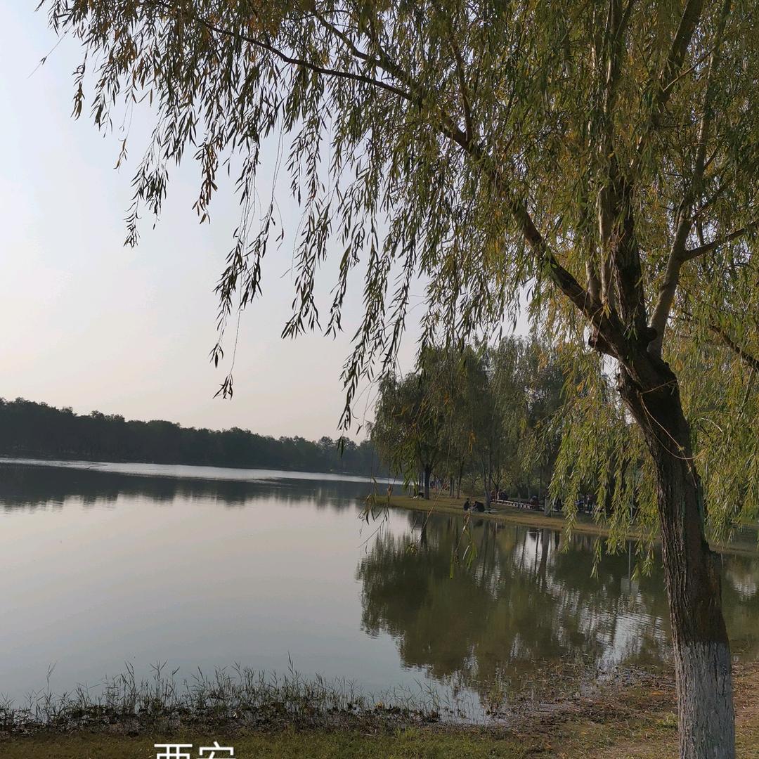 越过山丘的山丘