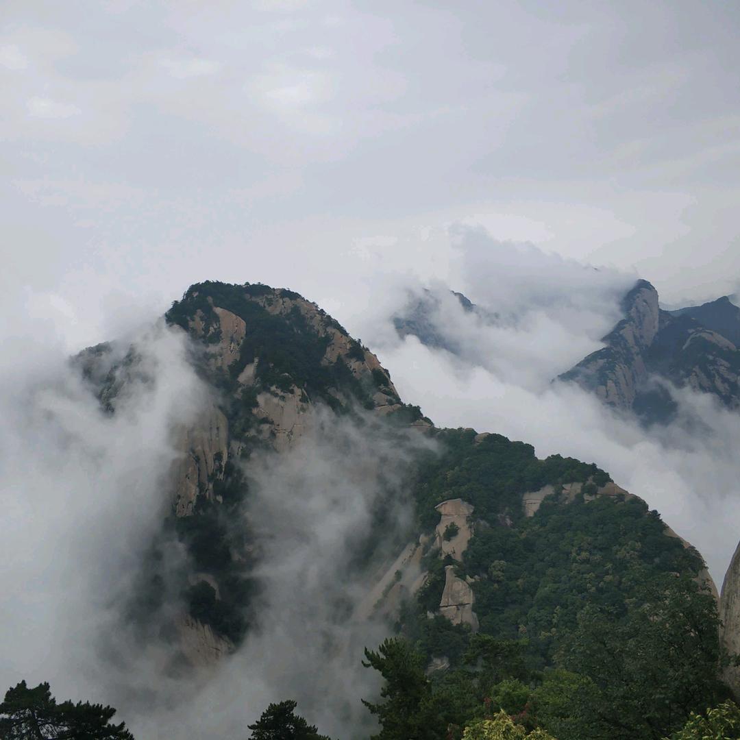 清风不问烟雨