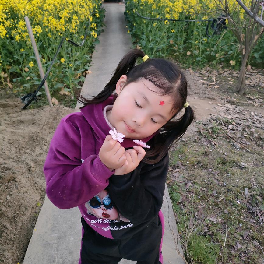 楠楠