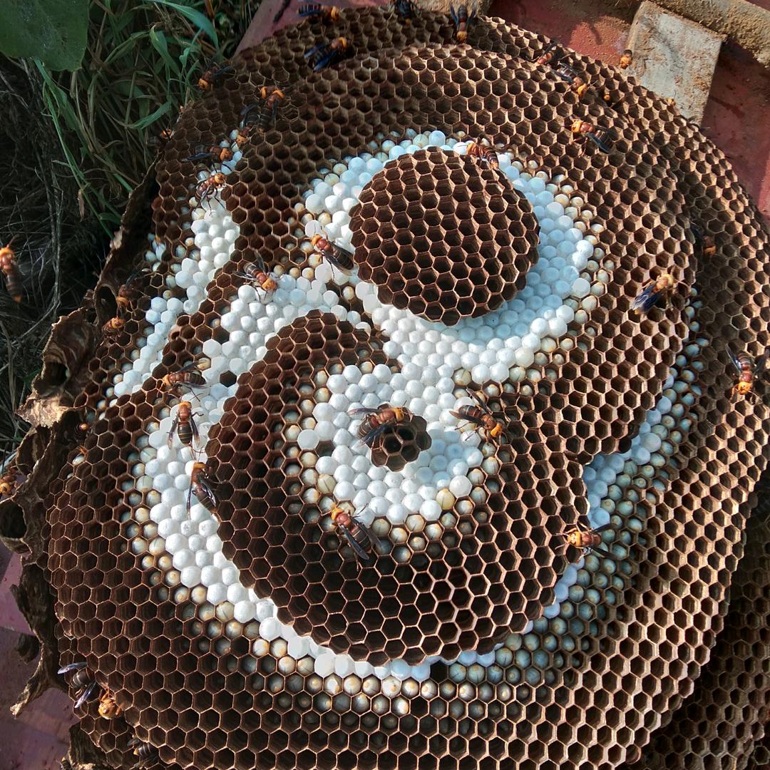 啊宽