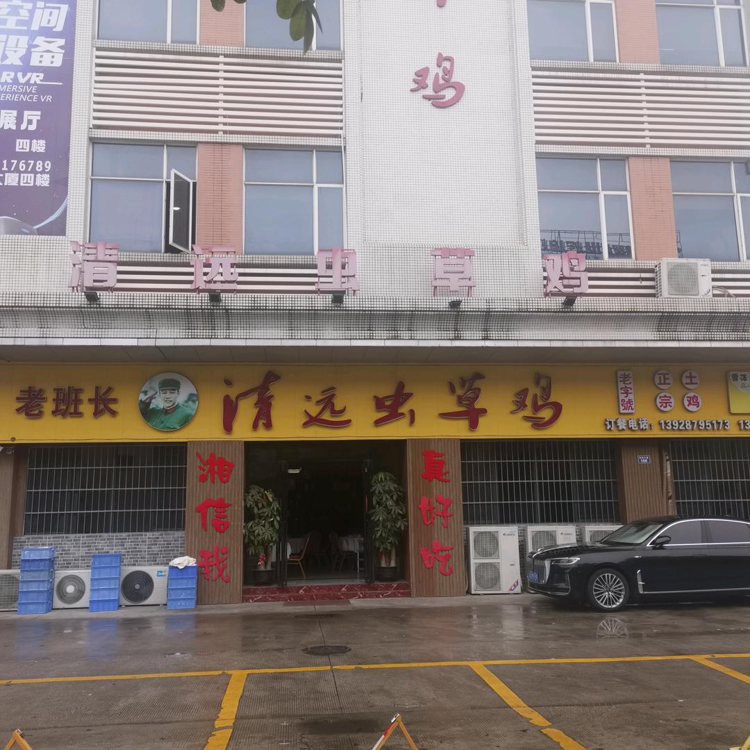 广州番禺肖老班长清远虫草鸡