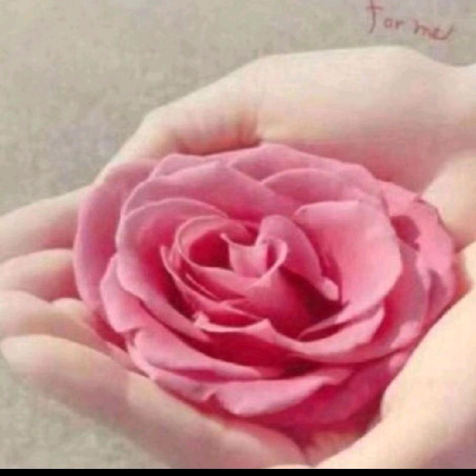 美好时光《请勿连赞，谢谢合作