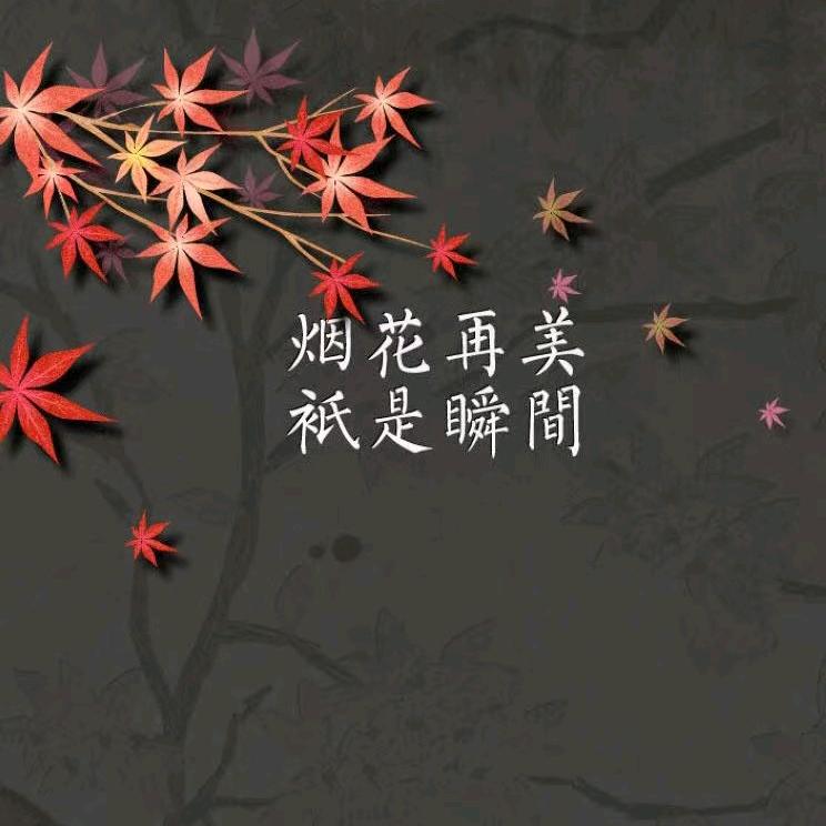 逆风飞