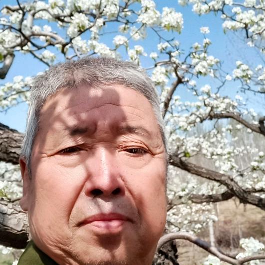 快乐老头