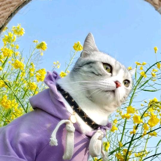 草花