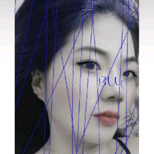 蝶儿飞