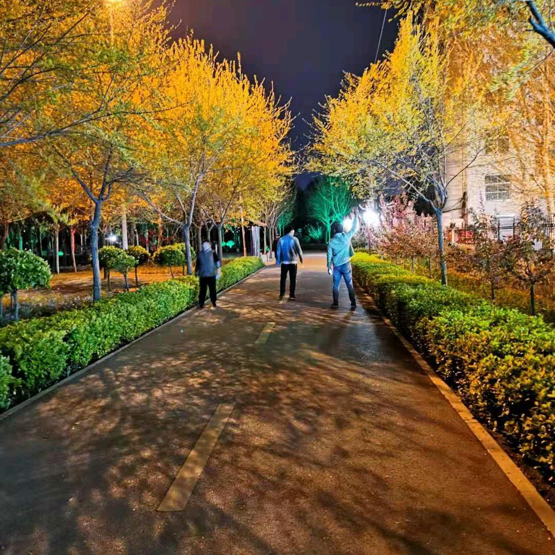 跟着浩哥一直吃