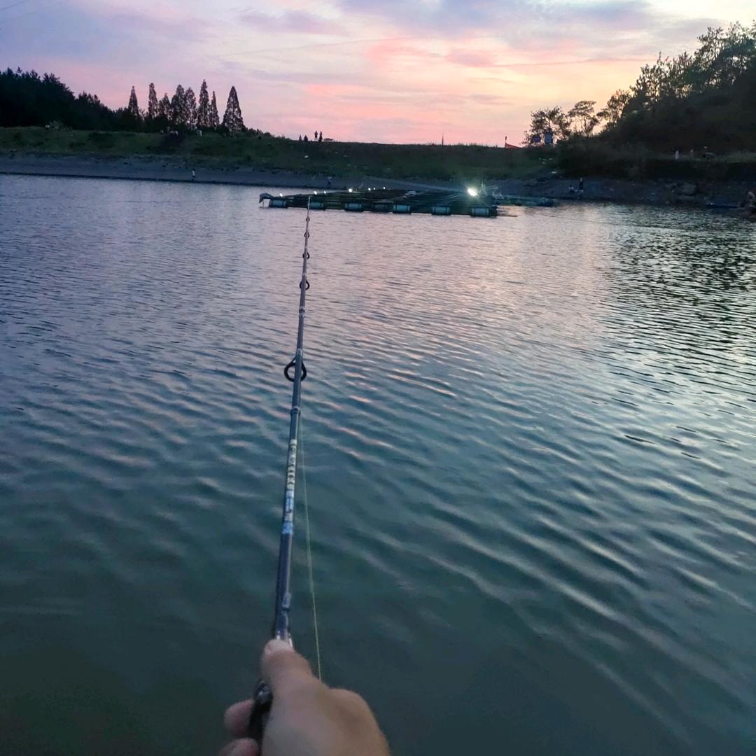 🚩日久见人心🎣小鱼儿