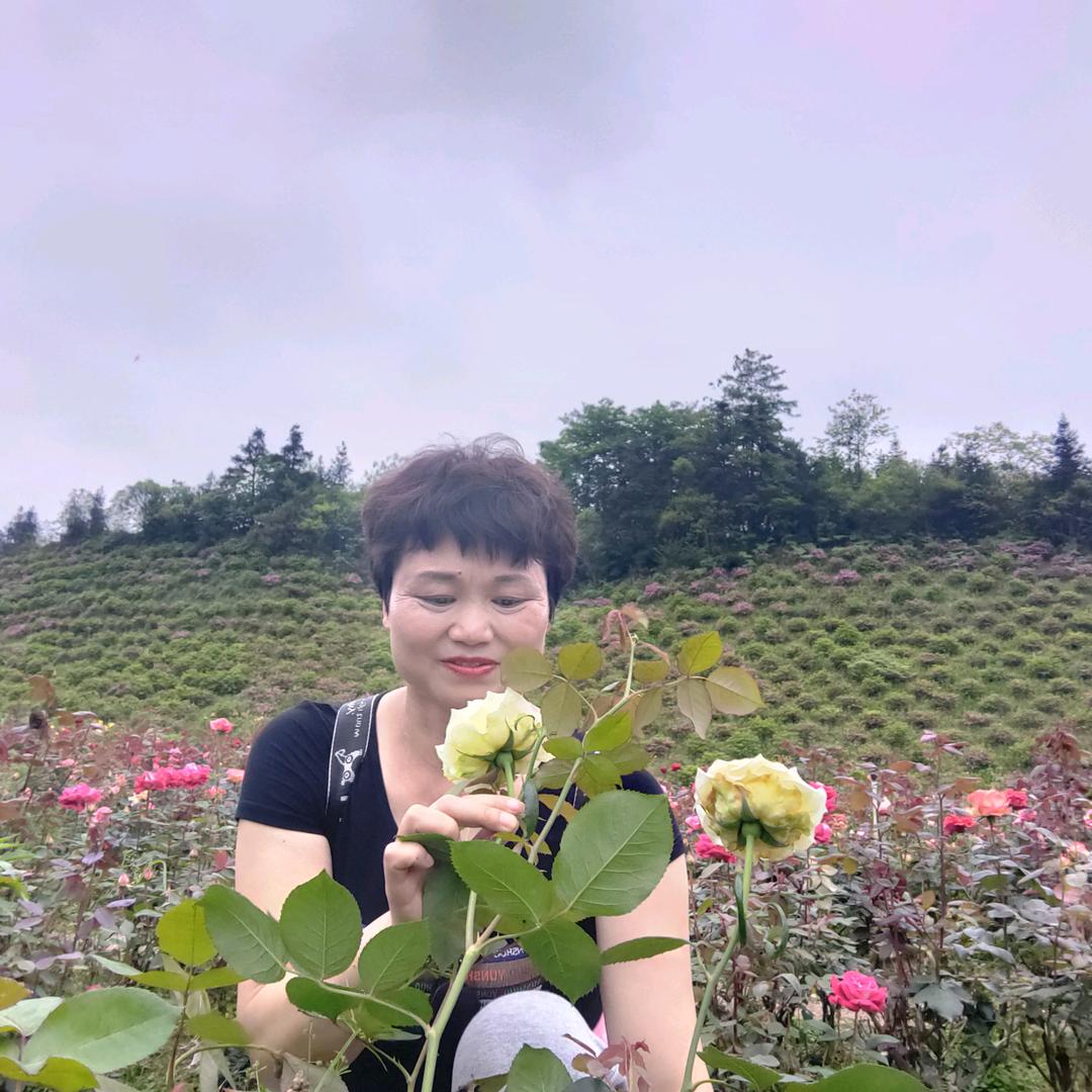 尹芝云