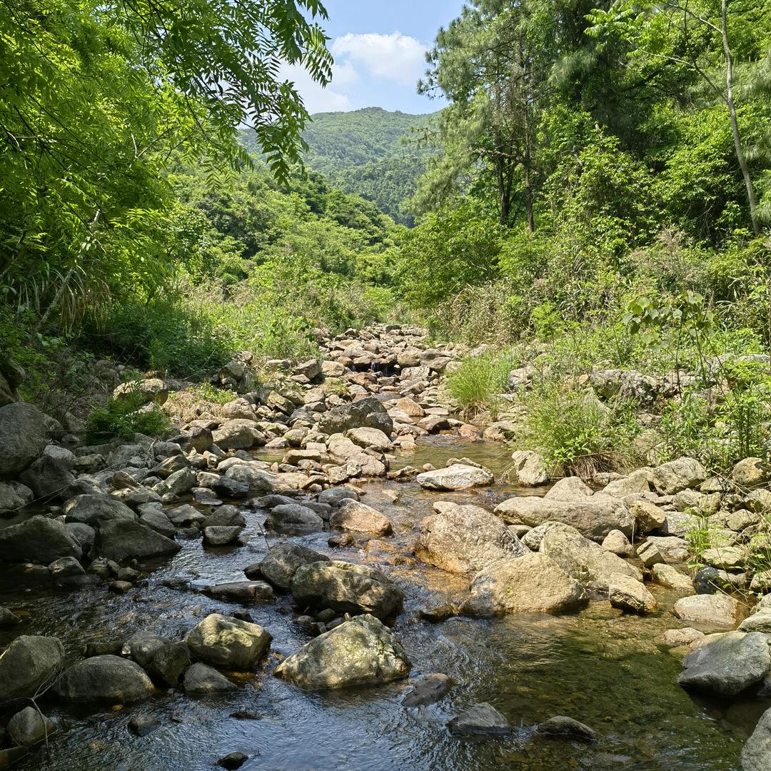 思怡湿纸家居店