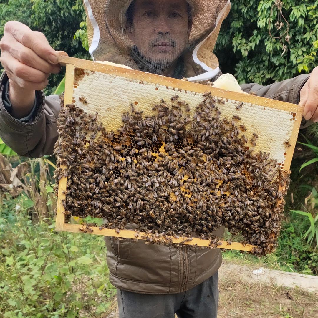 何汉(养蜜蜂百香果广东香水柠檬铜器）