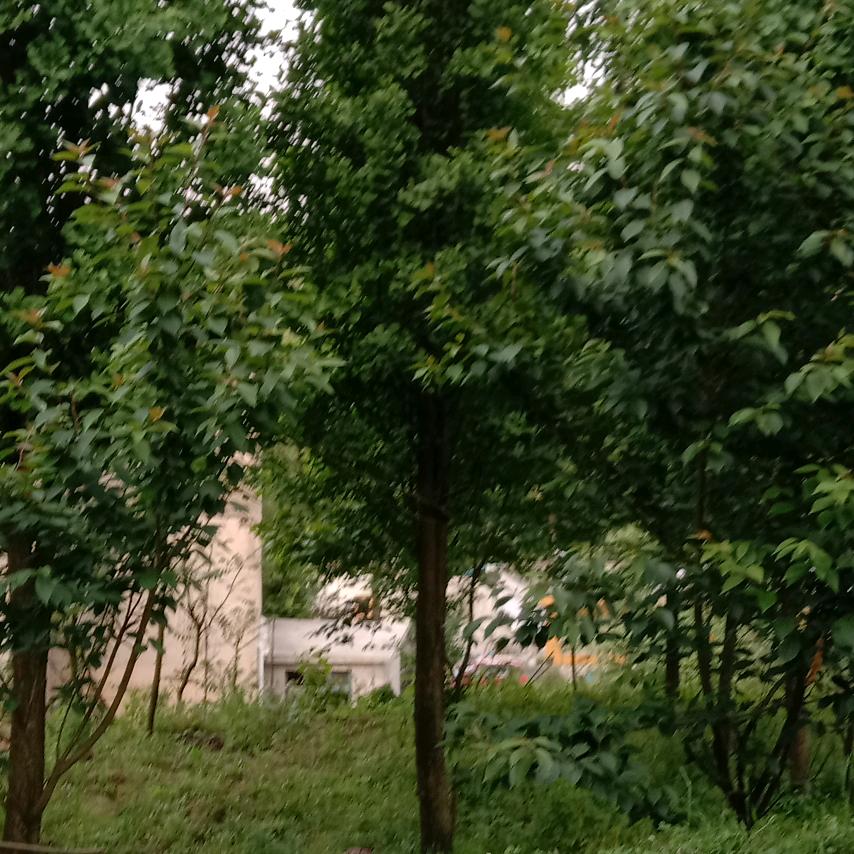用户655934502746