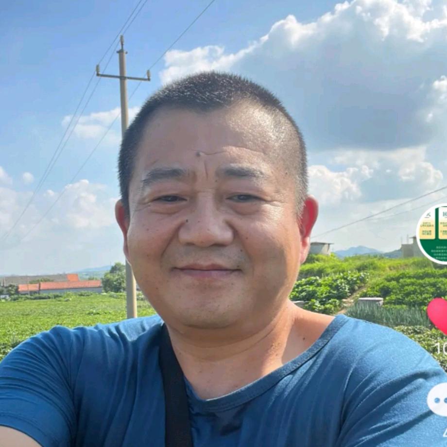 日照绿茶一山丰