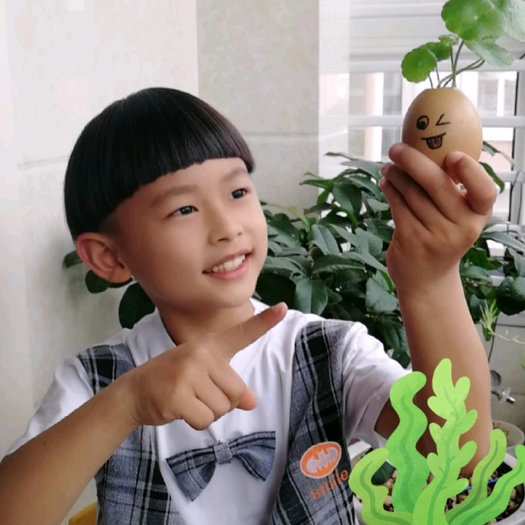 阳光宝贝儿