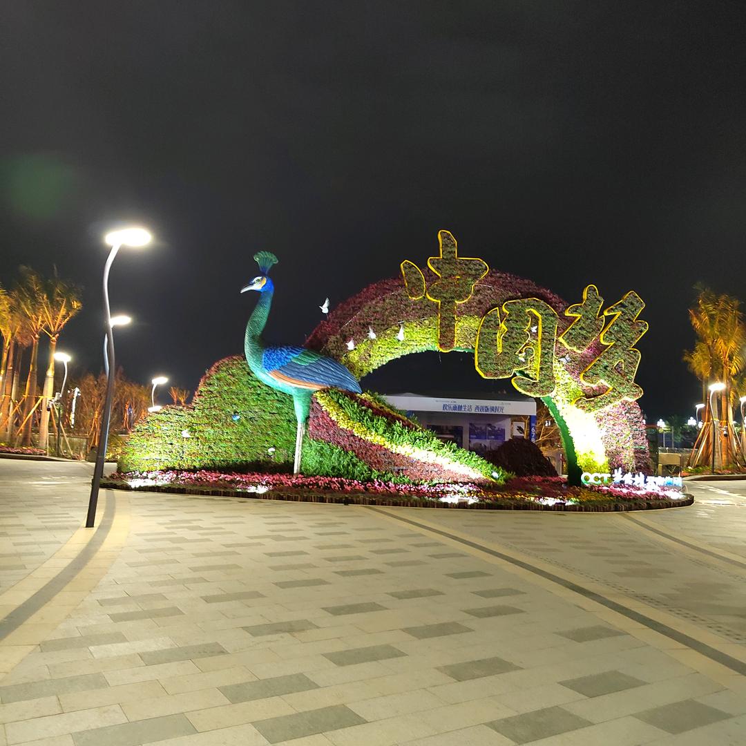 用户2468245149766佳音