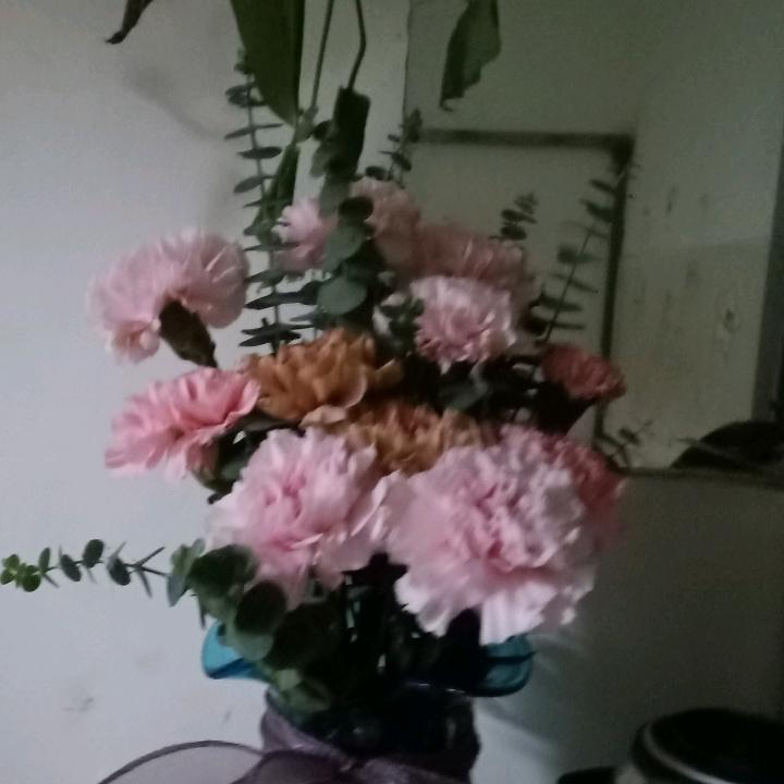 克拉瑪依家具店，宿