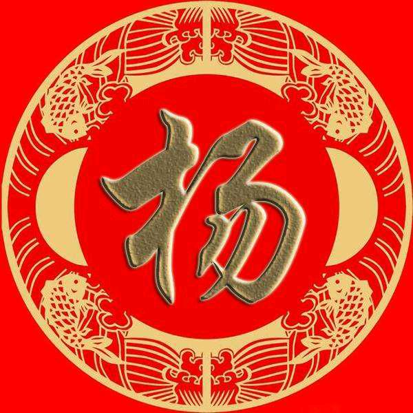 华夏杨氏（非杨误关）