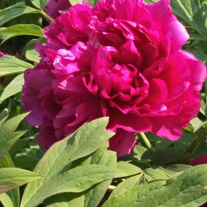 ☀☀☀每天都有阳光