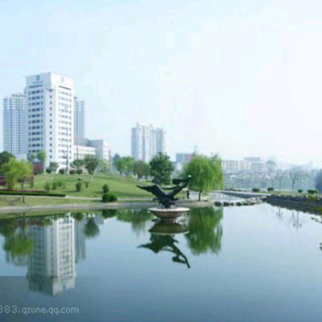 掩于岁月