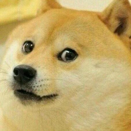 单身狗（大胃袋版)