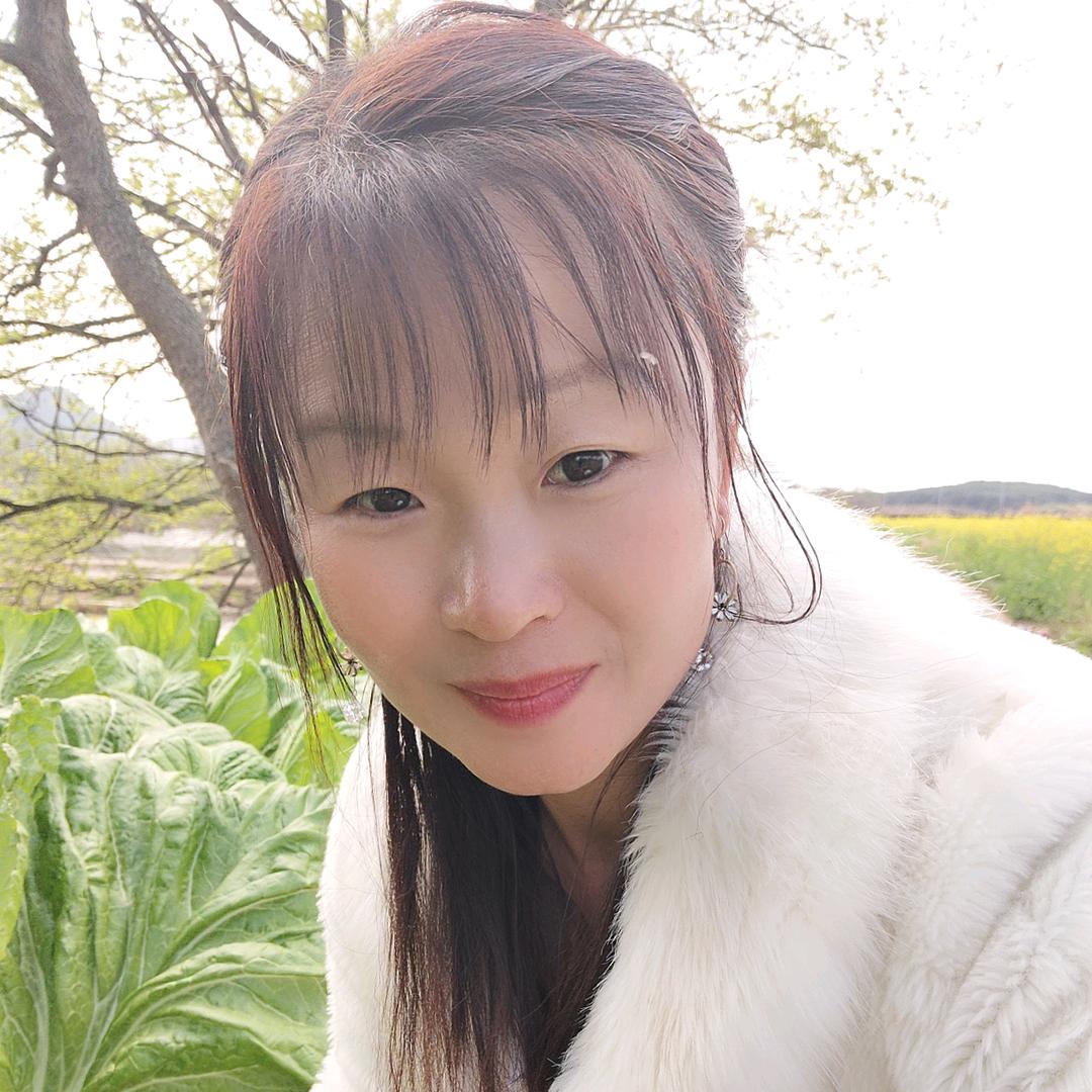 油茶树