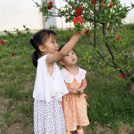 ☘️^^如初〃🍀️