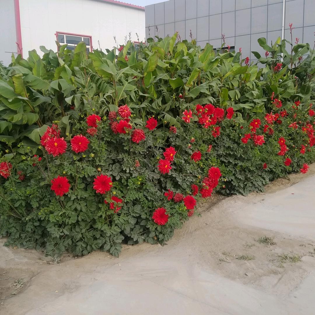 用户9244393553567