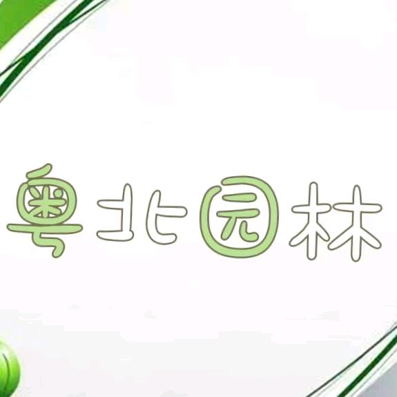 发财树基地直销粤北园林