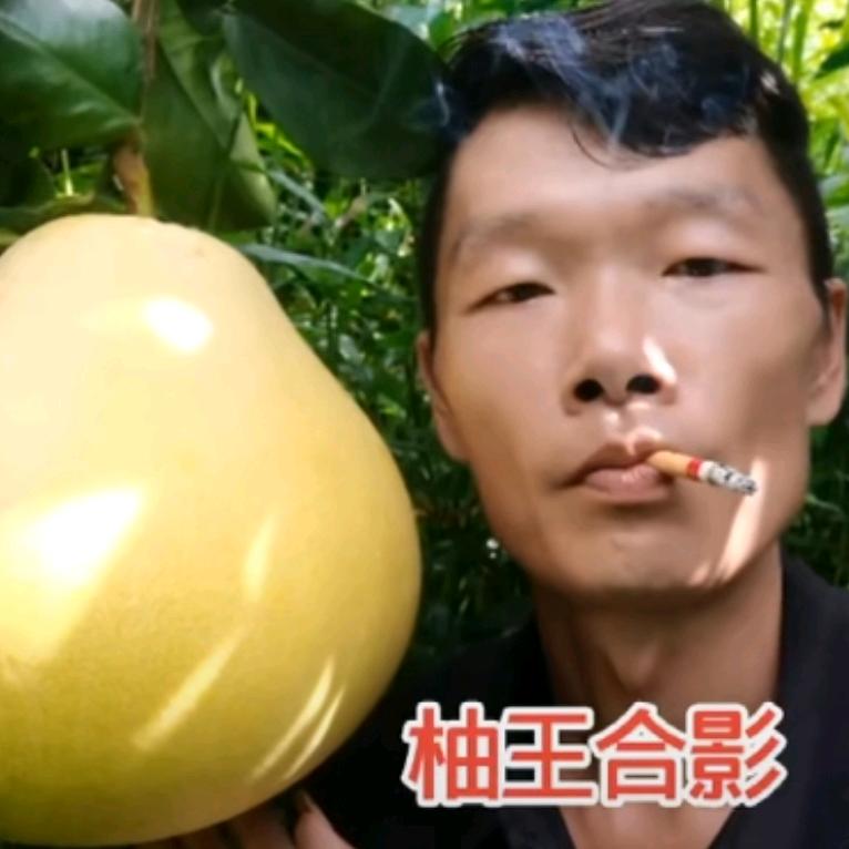 老洪说农、以众不同