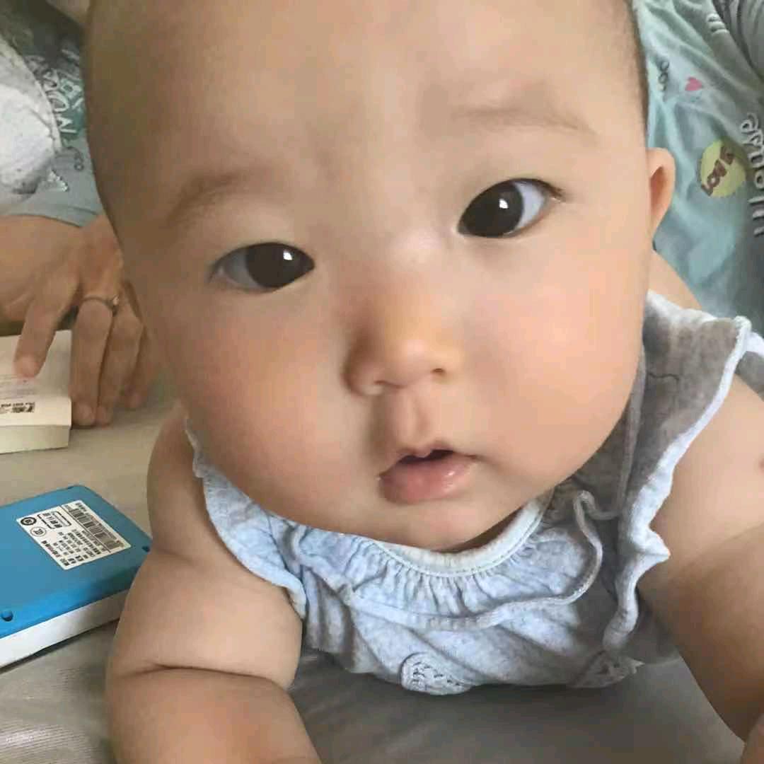 努力的绵绵