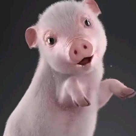 八零后的单身大叔