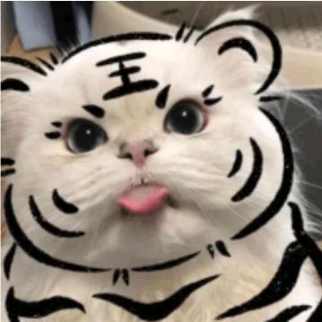 橙子55555