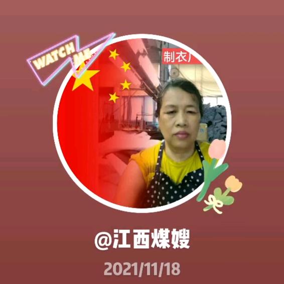 江西煤嫂