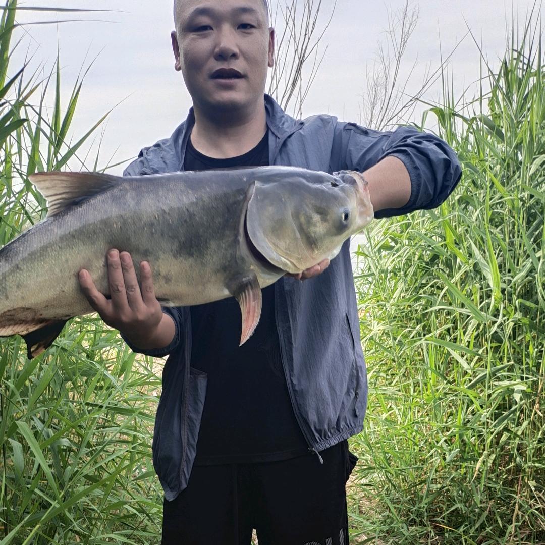 大彦🦴士岭牛肉汤