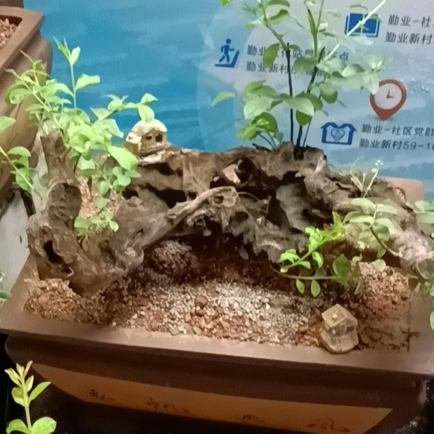 寒末