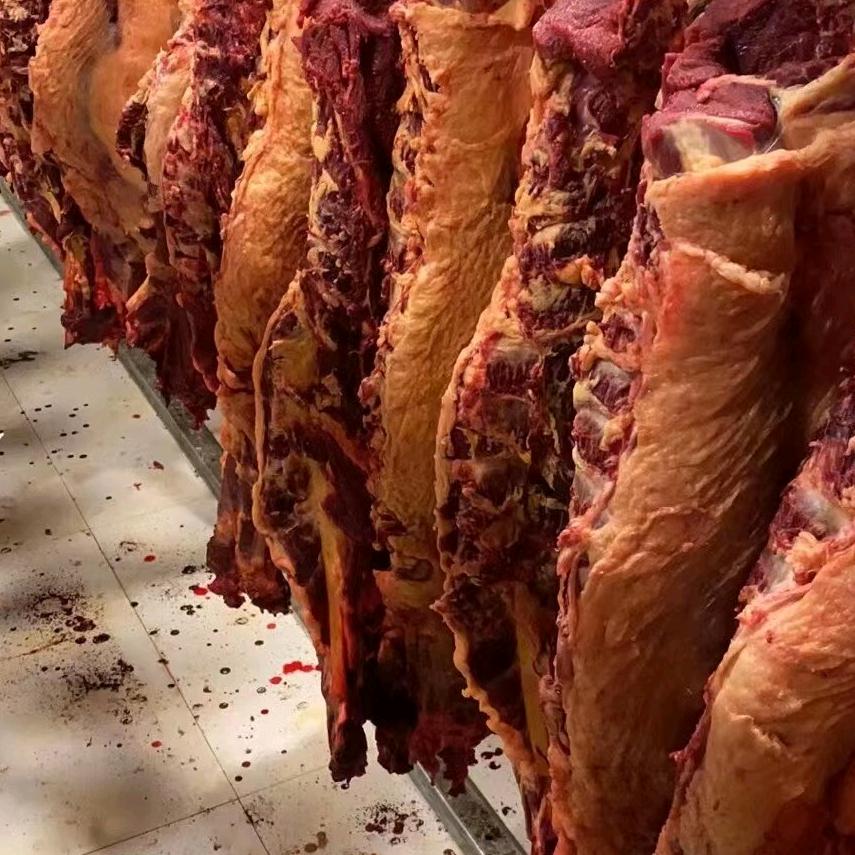 甘青藏草膘牛羊肉批发零售