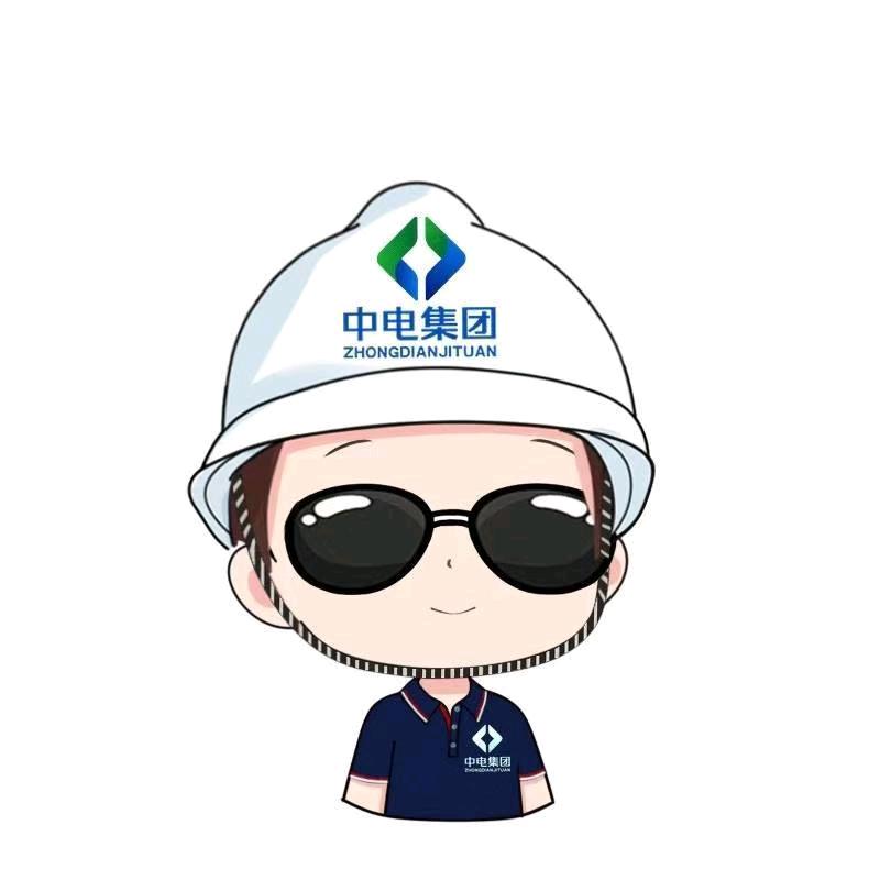 中电新能源投资