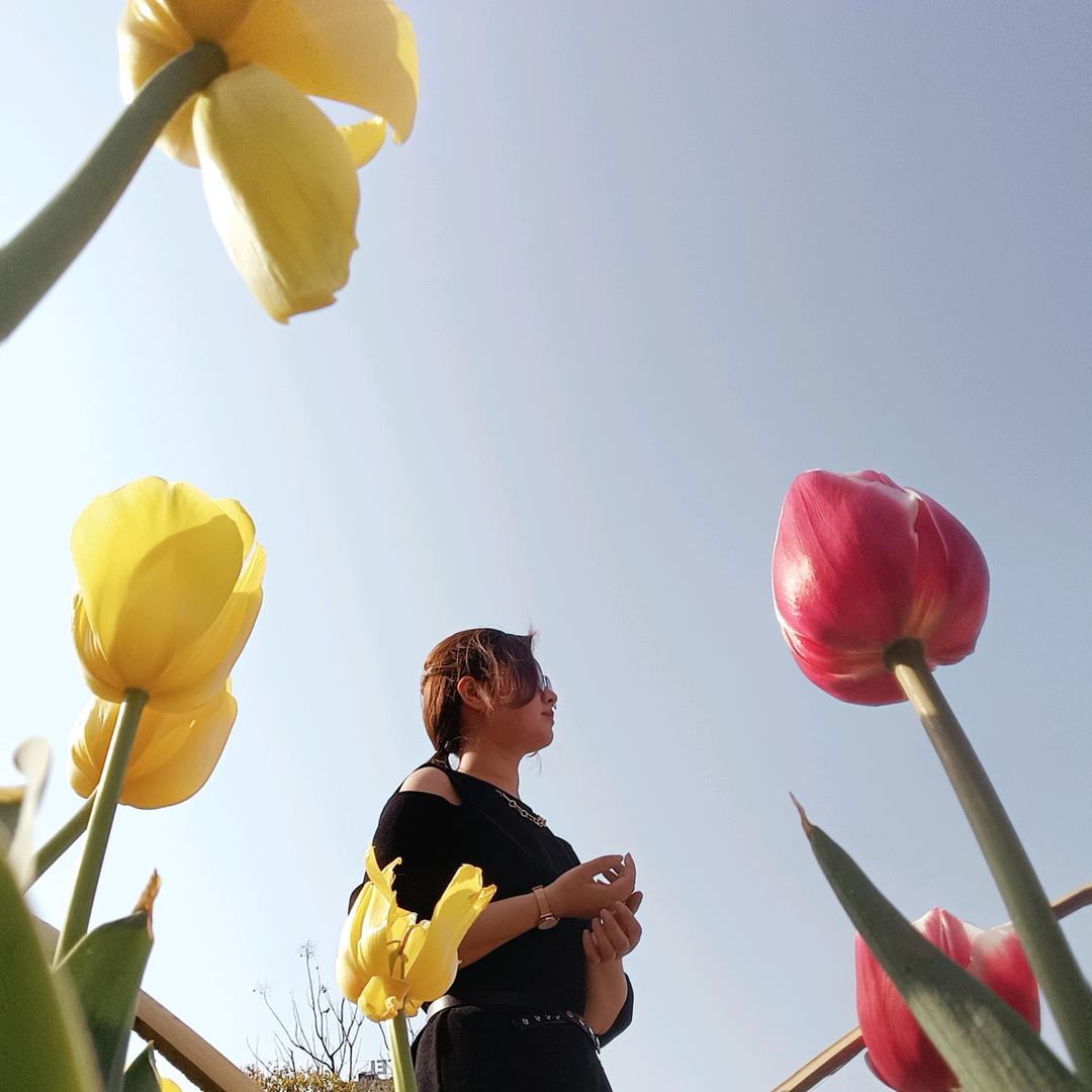 ご芝麻喜汤圆づ