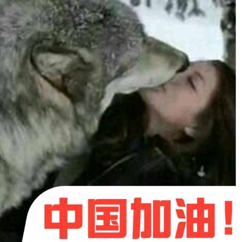 我在等枫