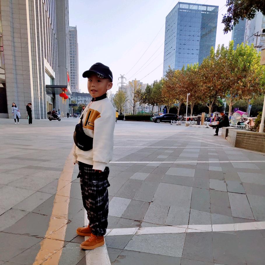 西岭