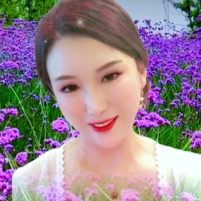 笛莎玫瑰