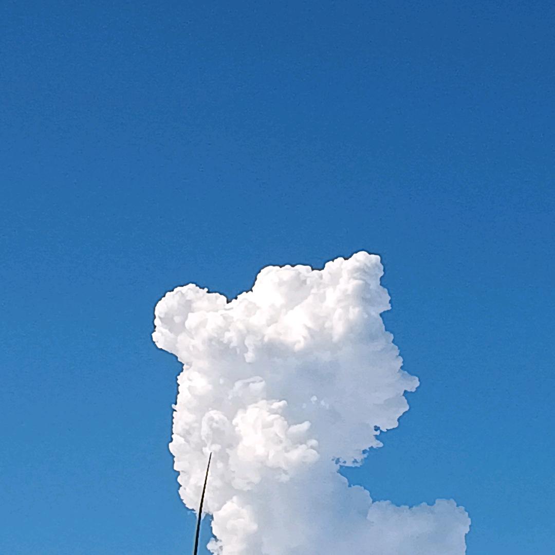 君临天下（75213）