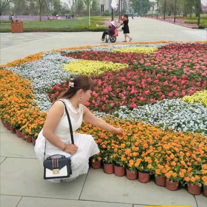 用户697514420伤不起