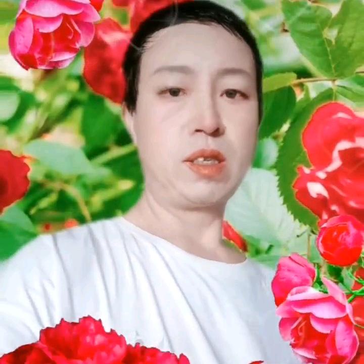 ，驰马荡江湖