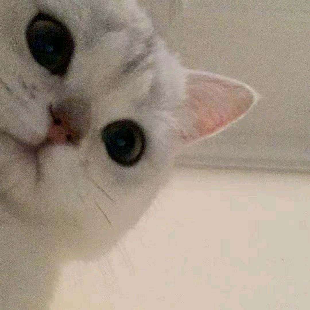 □○