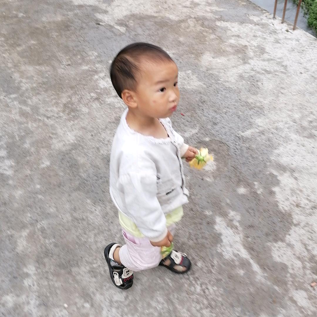 如意芳芬