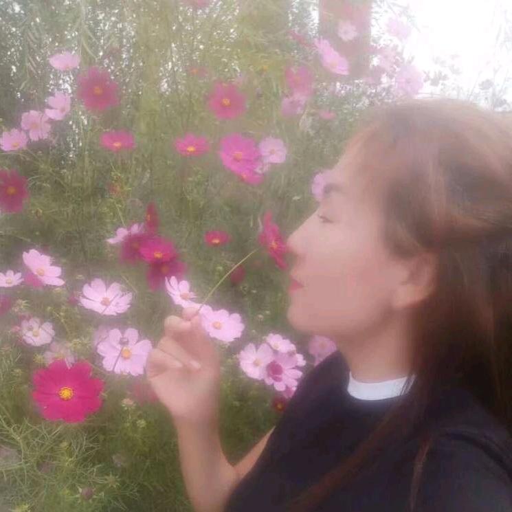 玫瑰🌹