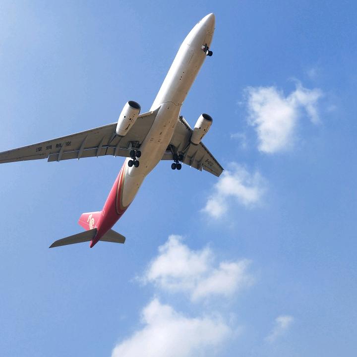 没人能懂的伪装